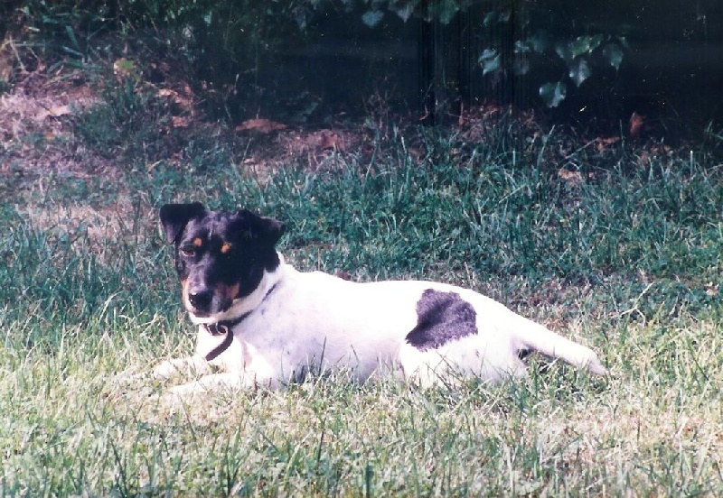 Hyjack (Sans Affixe)