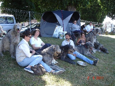 Du Haras Du Theil - EVREUX 2011